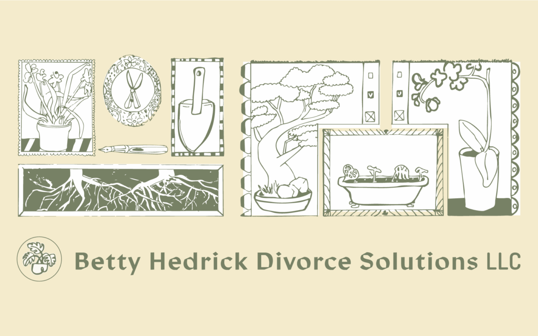 Betty Hedrick Divorce Solutions LLC